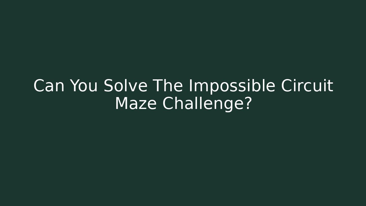 Can You Solve The Impossible Circuit Maze Challenge?
