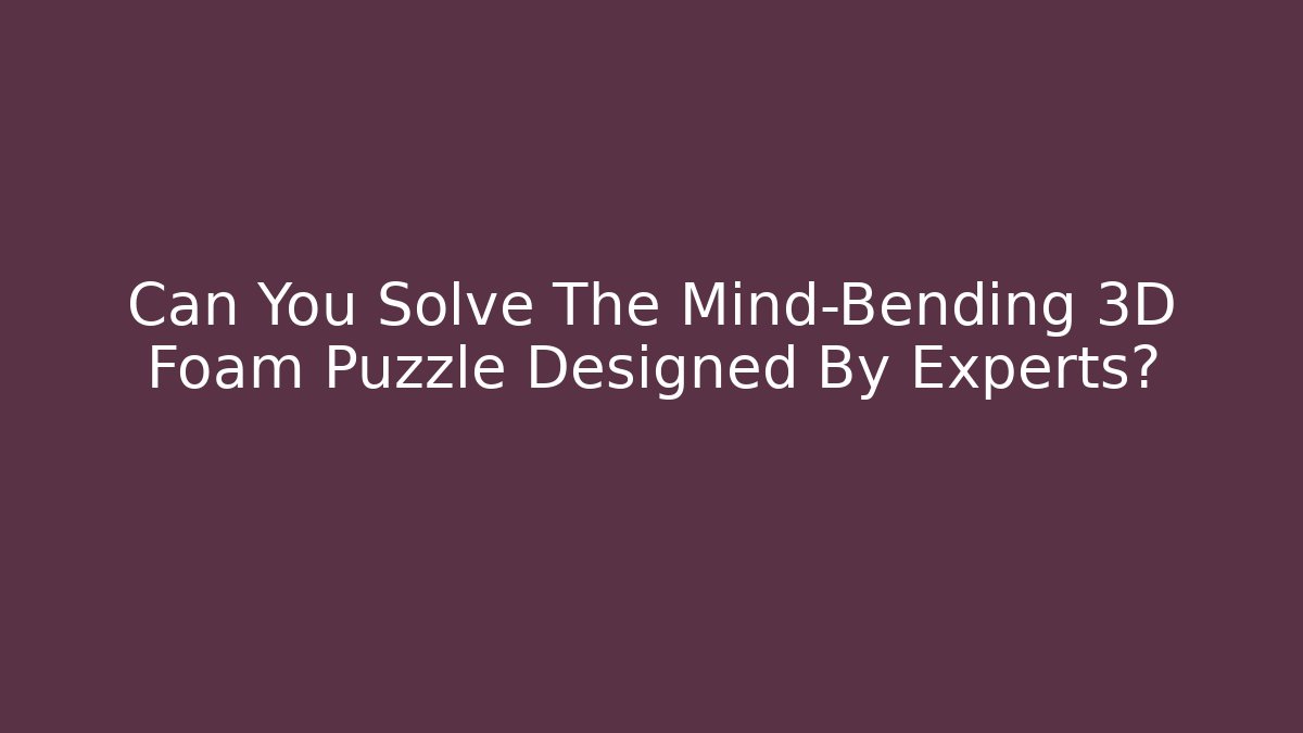 Can You Solve The Mind-Bending 3D Foam Puzzle Designed By Experts?