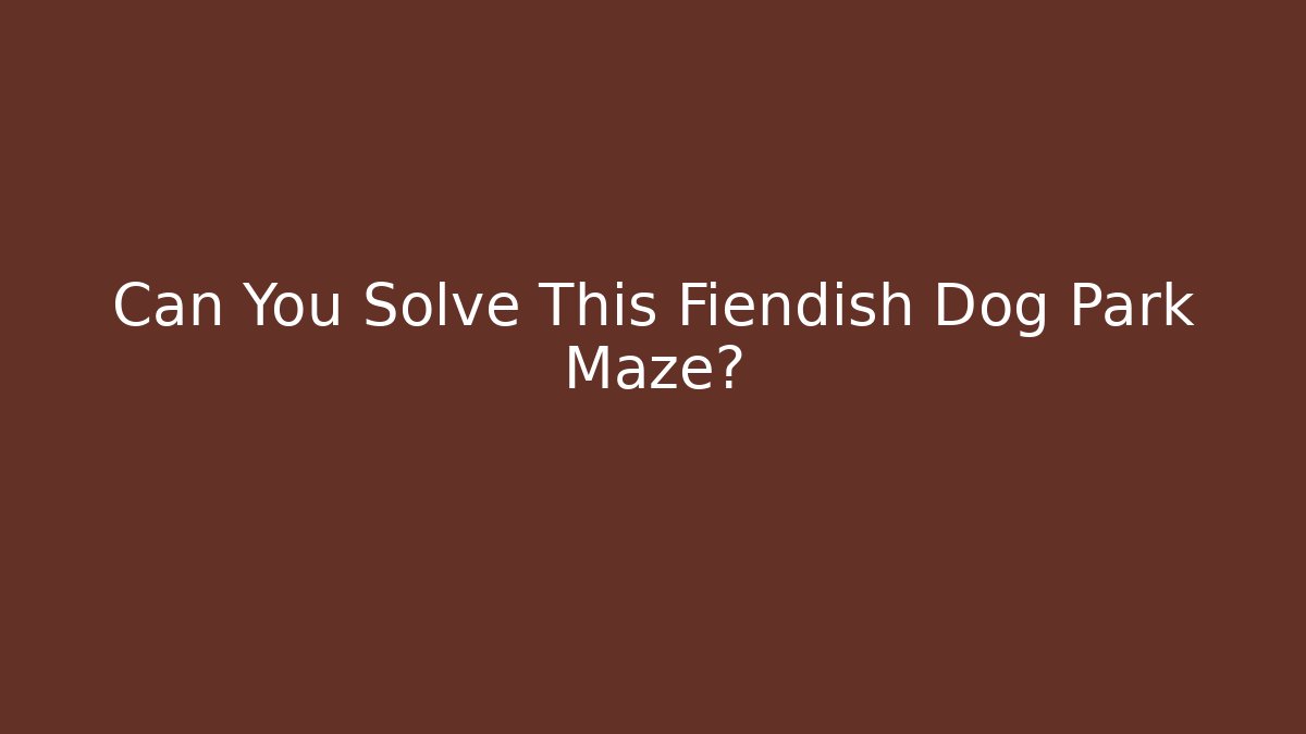 Can You Solve This Fiendish Dog Park Maze?