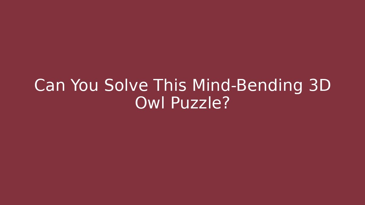 Can You Solve This Mind-Bending 3D Owl Puzzle?