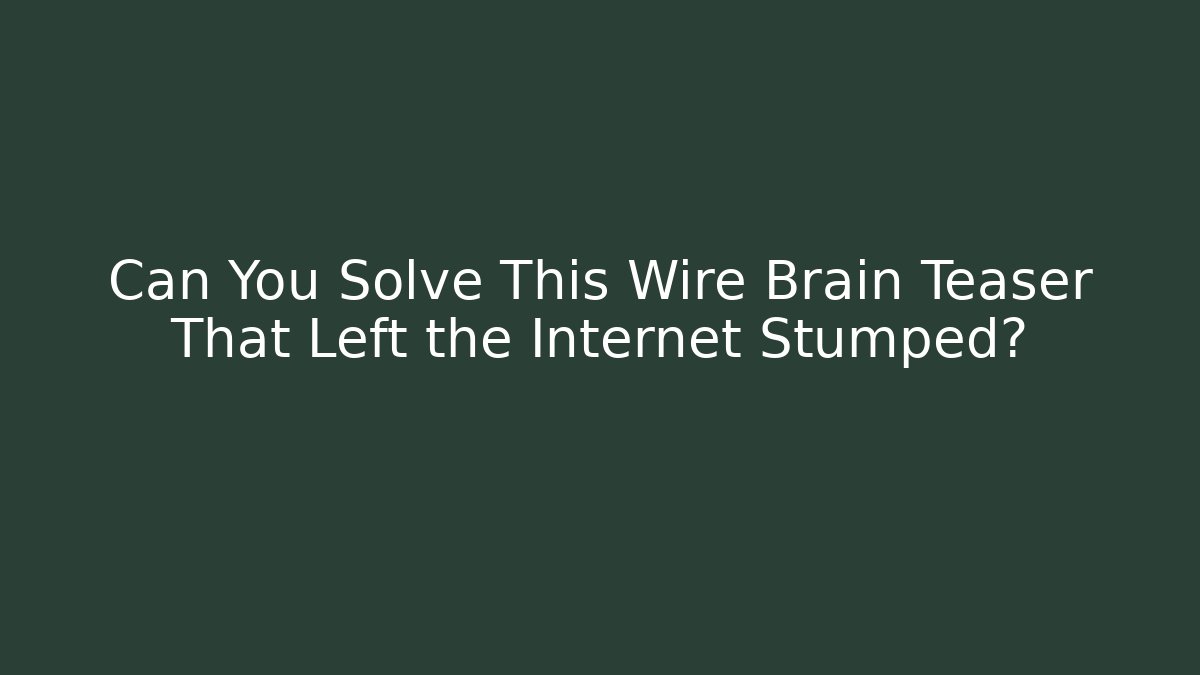 Can You Solve This Wire Brain Teaser That Left the Internet Stumped?