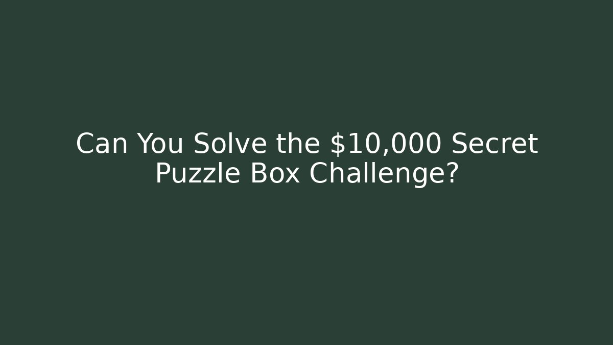 Can You Solve the $10,000 Secret Puzzle Box Challenge?