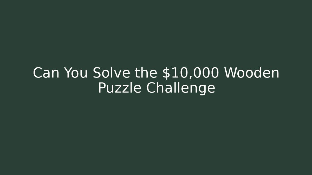 Can You Solve the $10,000 Wooden Puzzle Challenge