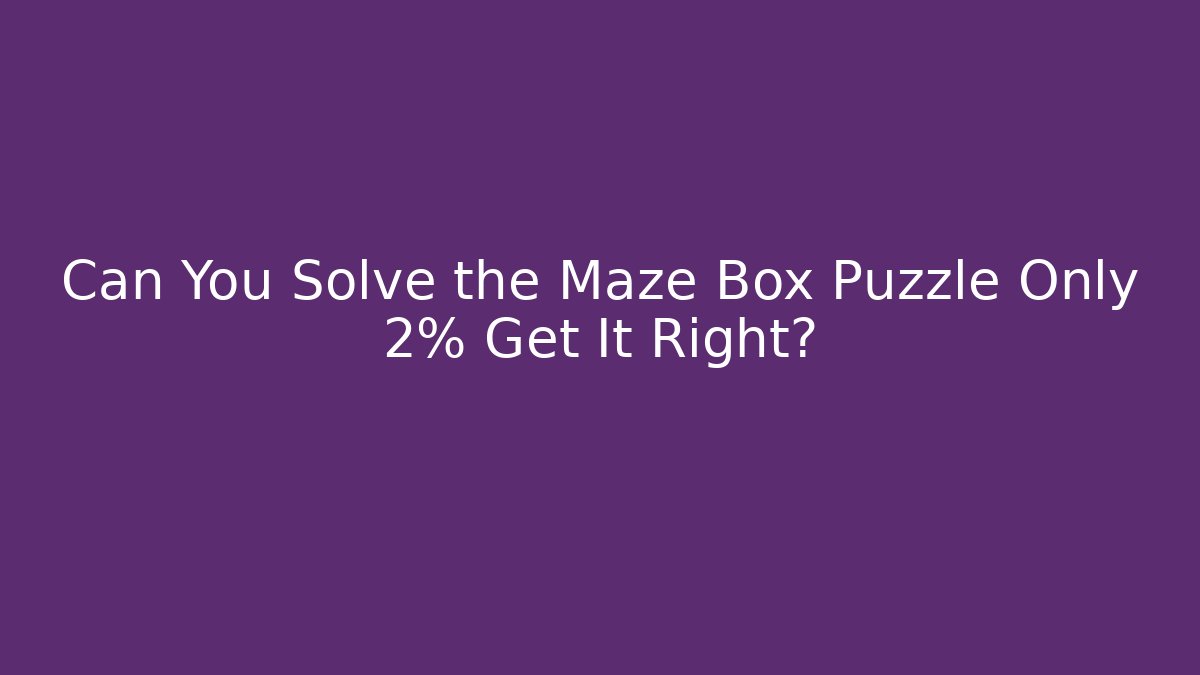Can You Solve the Maze Box Puzzle Only 2% Get It Right?