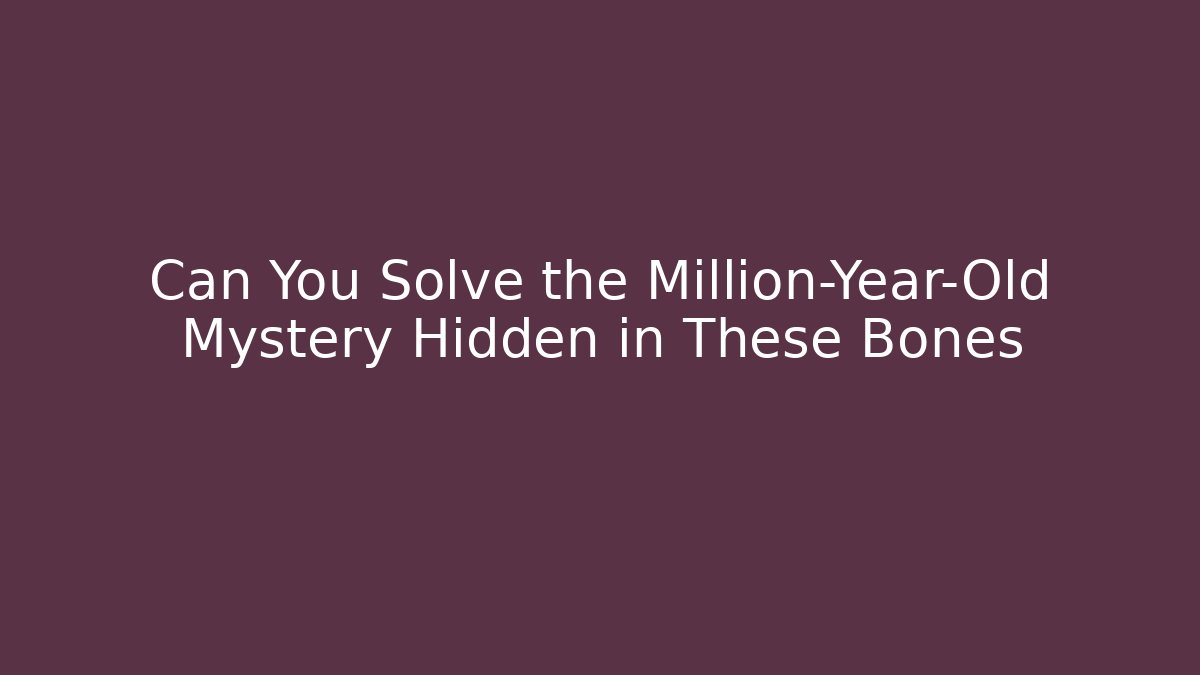 Can You Solve the Million-Year-Old Mystery Hidden in These Bones