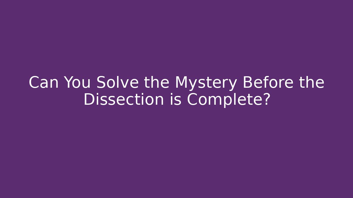 Can You Solve the Mystery Before the Dissection is Complete?