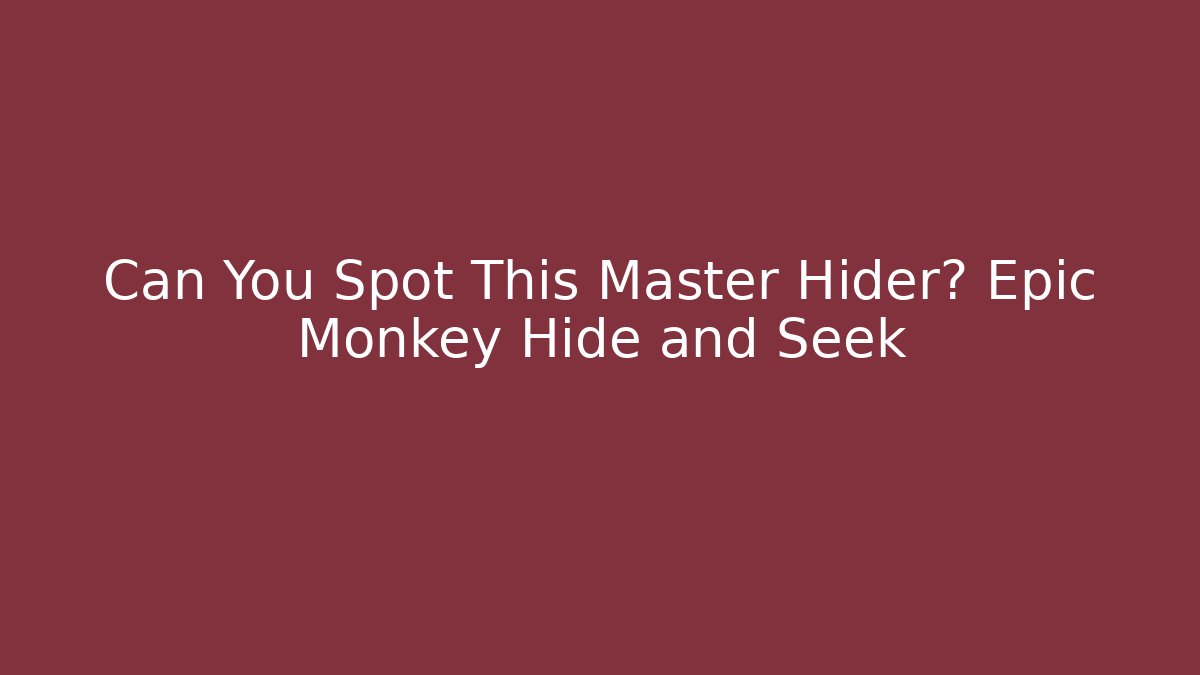 Can You Spot This Master Hider? Epic Monkey Hide and Seek