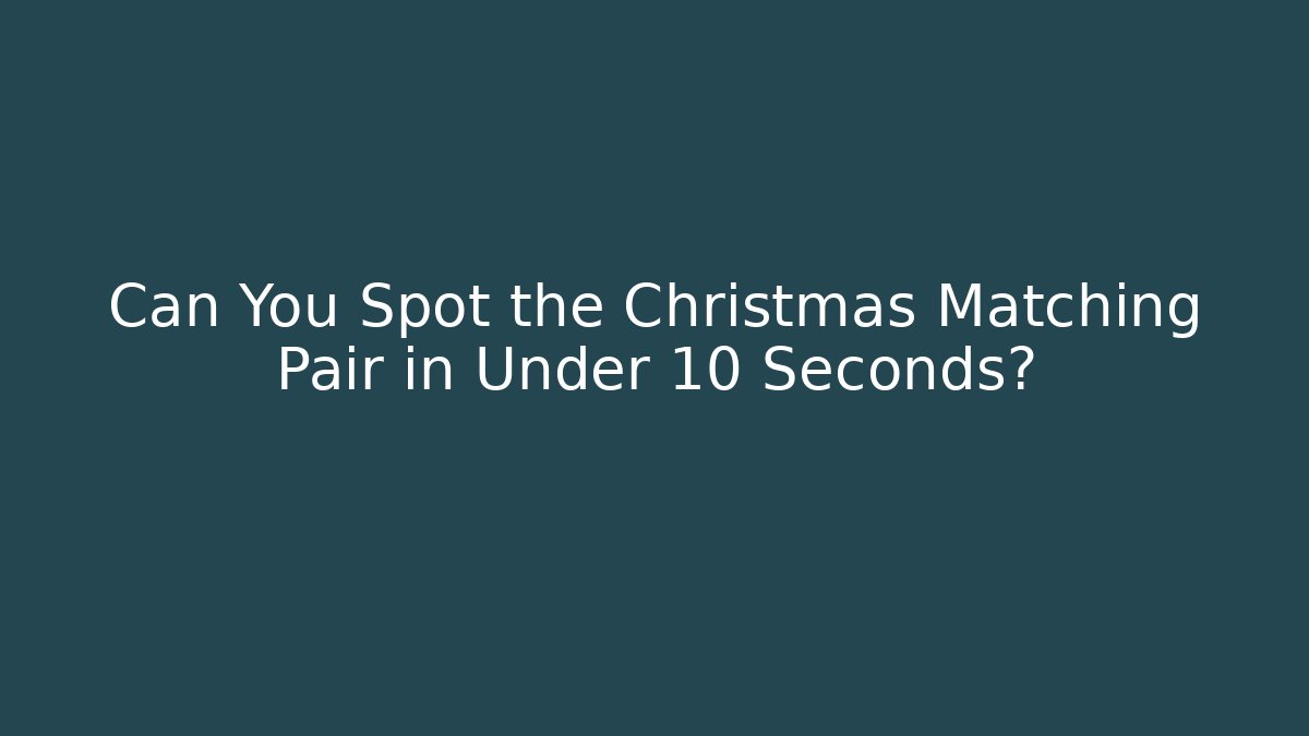 Can You Spot the Christmas Matching Pair in Under 10 Seconds? - Critter Realm