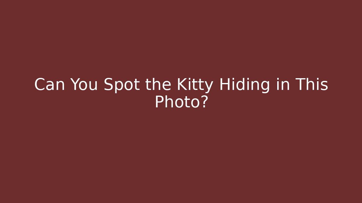 Can You Spot the Kitty Hiding in This Photo?