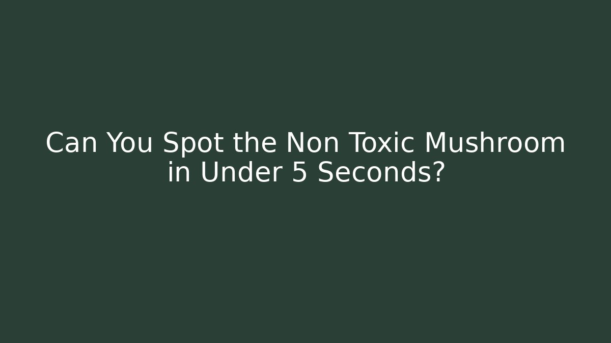 Can You Spot the Non Toxic Mushroom in Under 5 Seconds?