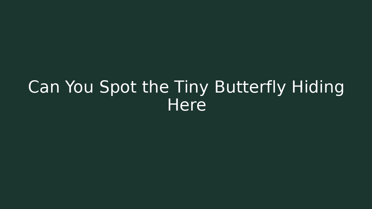 Can You Spot the Tiny Butterfly Hiding Here - Critter Realm