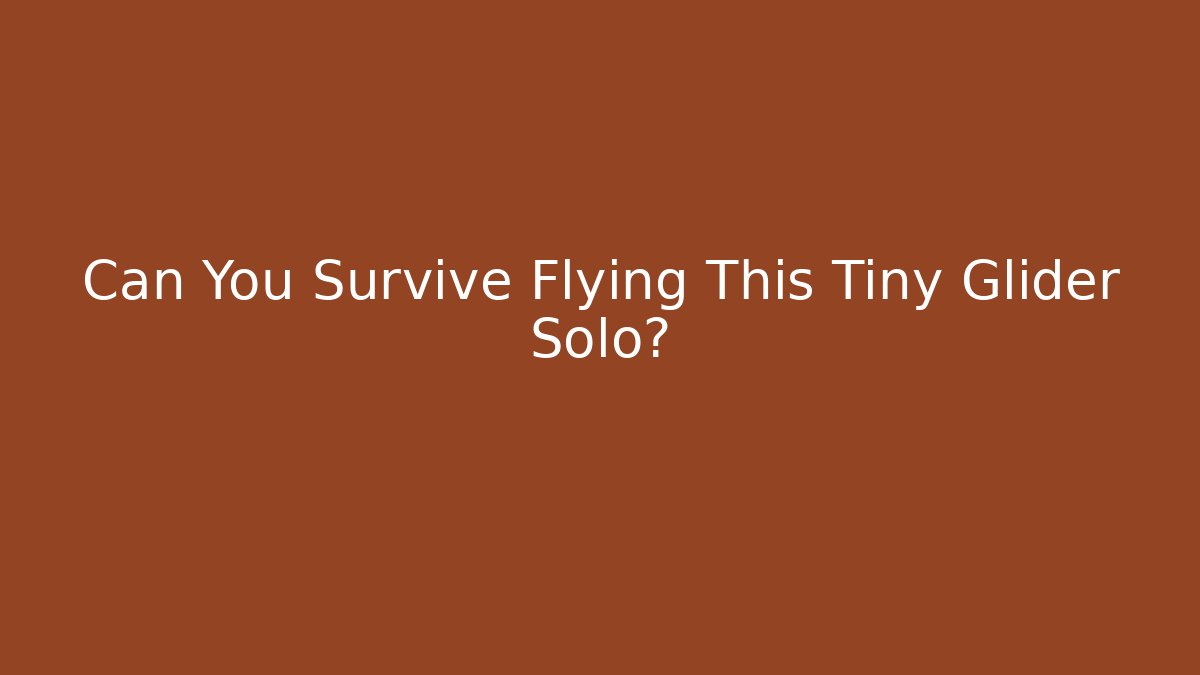 Can You Survive Flying This Tiny Glider Solo?