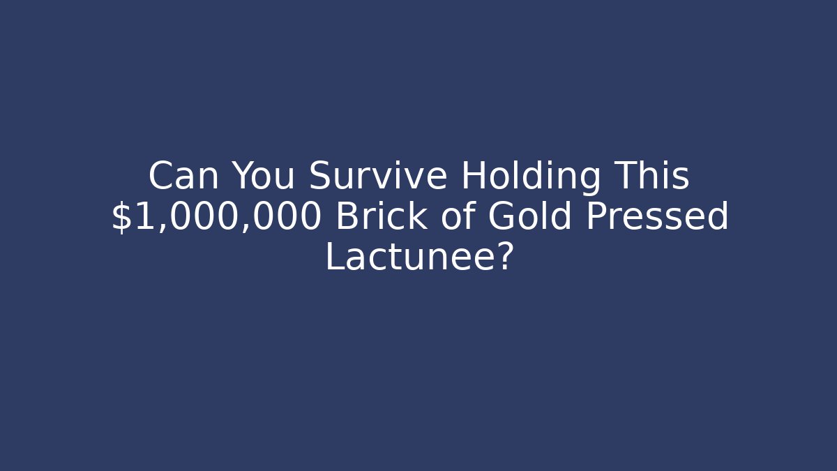 Can You Survive Holding This $1,000,000 Brick of Gold Pressed Lactunee?