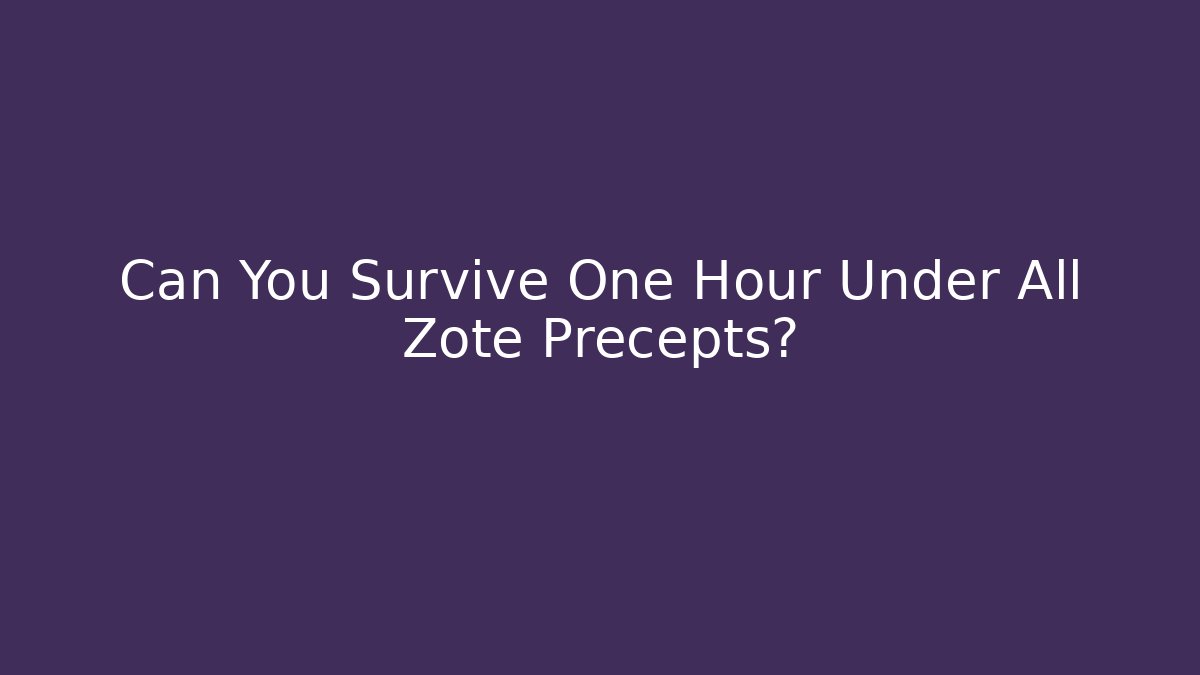 Can You Survive One Hour Under All Zote Precepts?