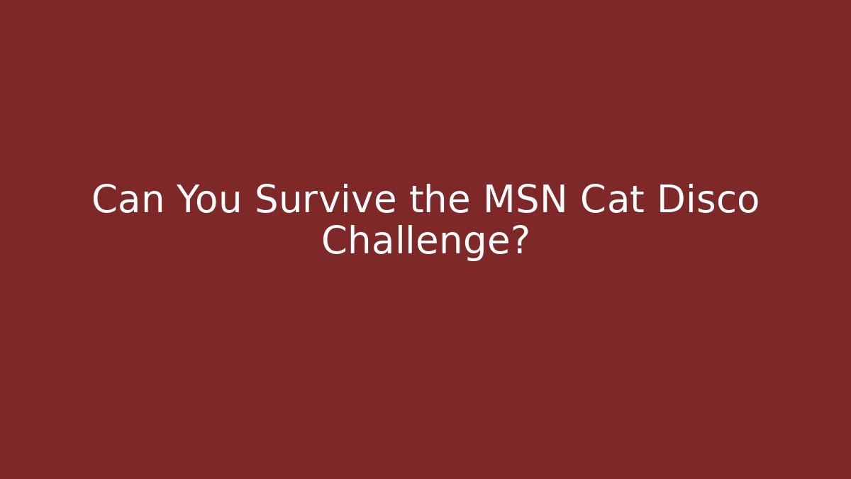Can You Survive the MSN Cat Disco Challenge?