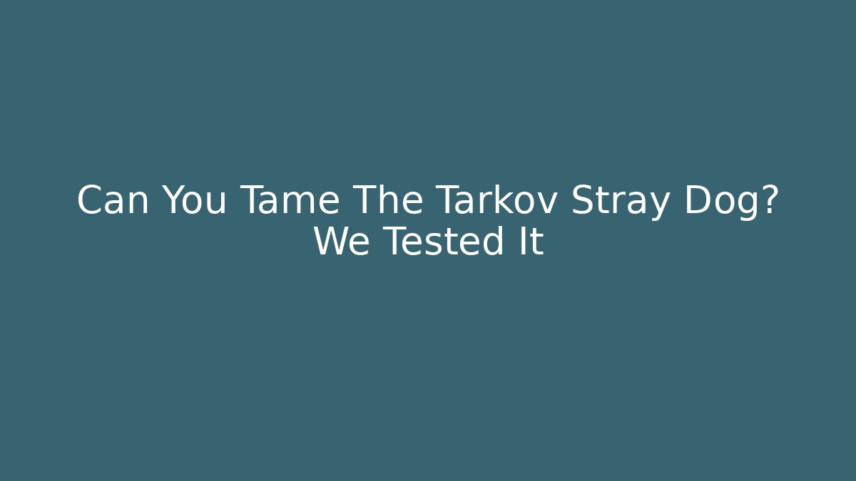 Can You Tame The Tarkov Stray Dog? We Tested It