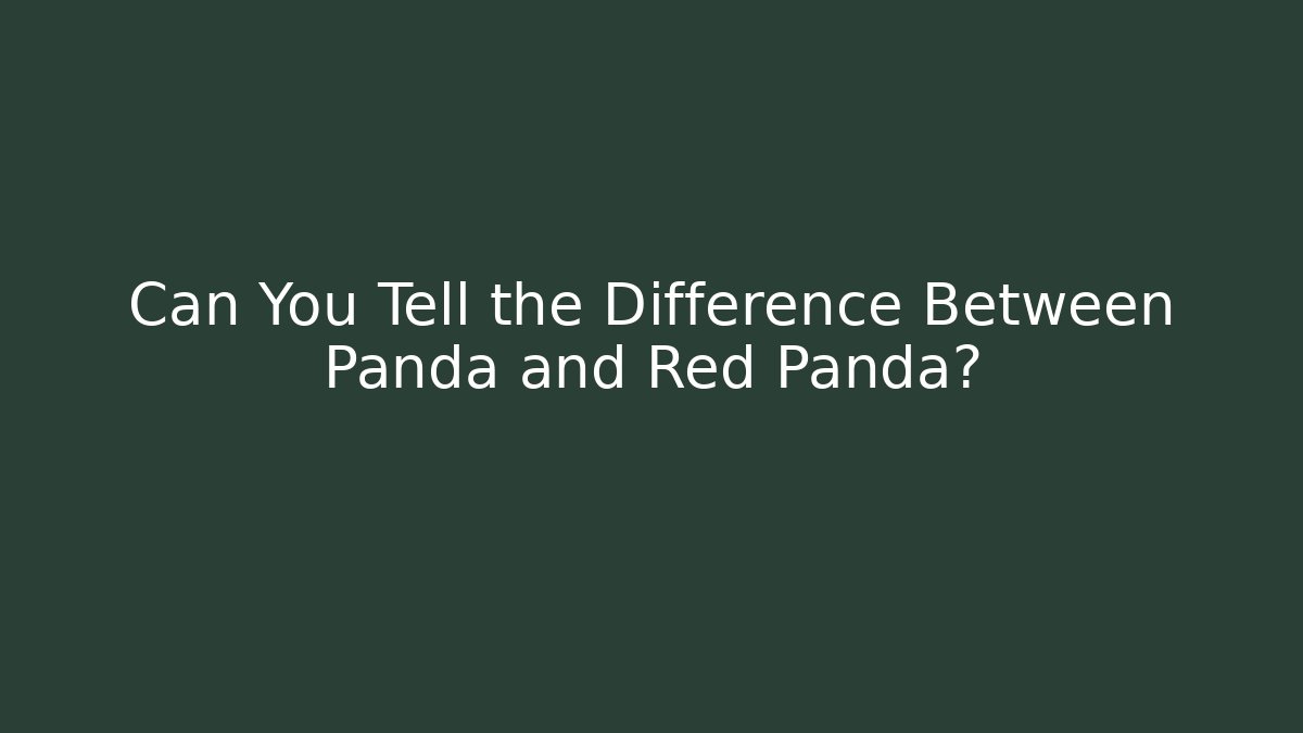 Can You Tell the Difference Between Panda and Red Panda?
