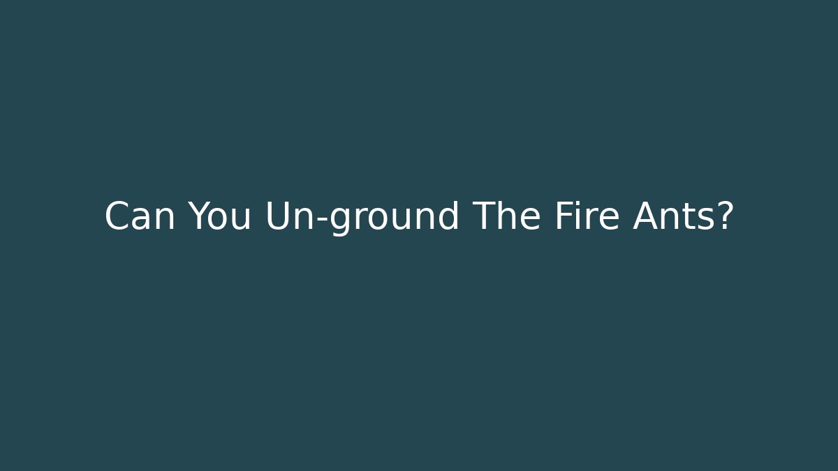 Can You Un-ground The Fire Ants? - Critter Realm