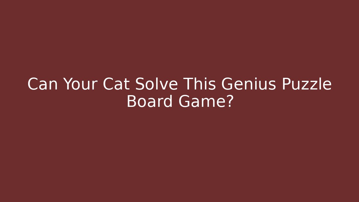 Can Your Cat Solve This Genius Puzzle Board Game?