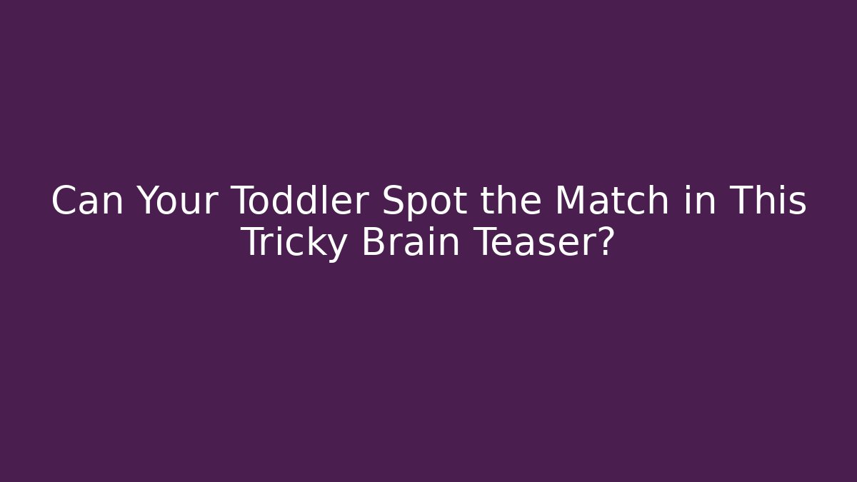 Can Your Toddler Spot the Match in This Tricky Brain Teaser?