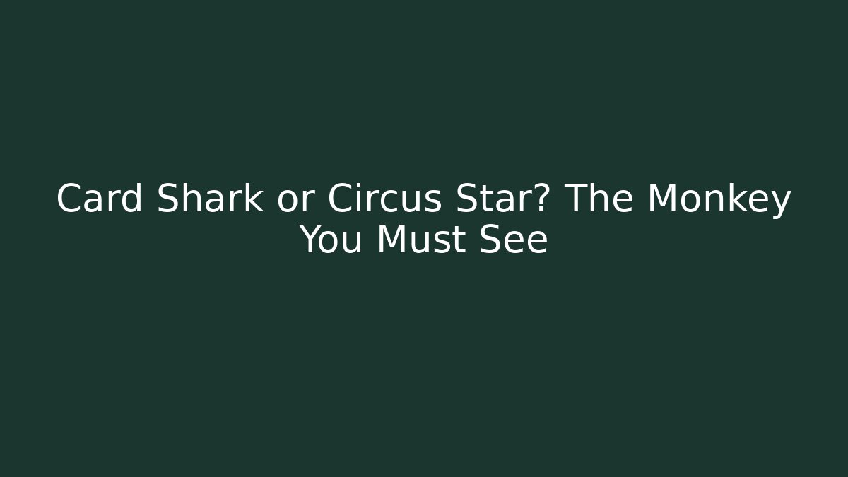 Card Shark or Circus Star? The Monkey You Must See