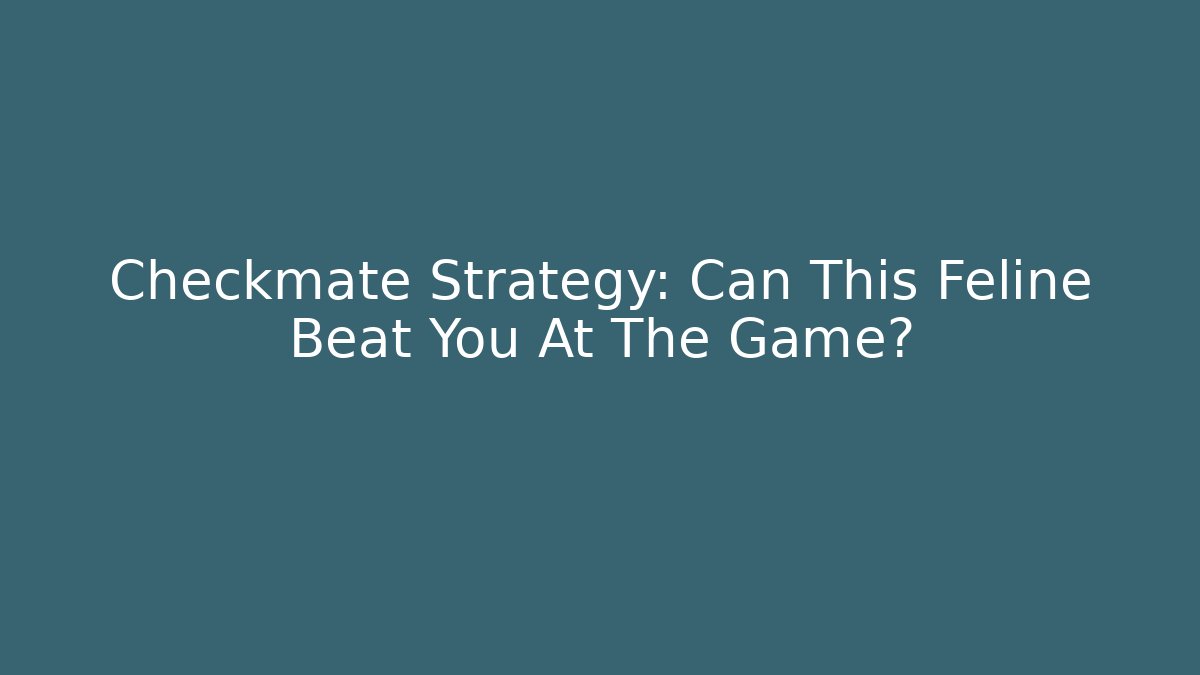 Checkmate Strategy: Can This Feline Beat You At The Game?