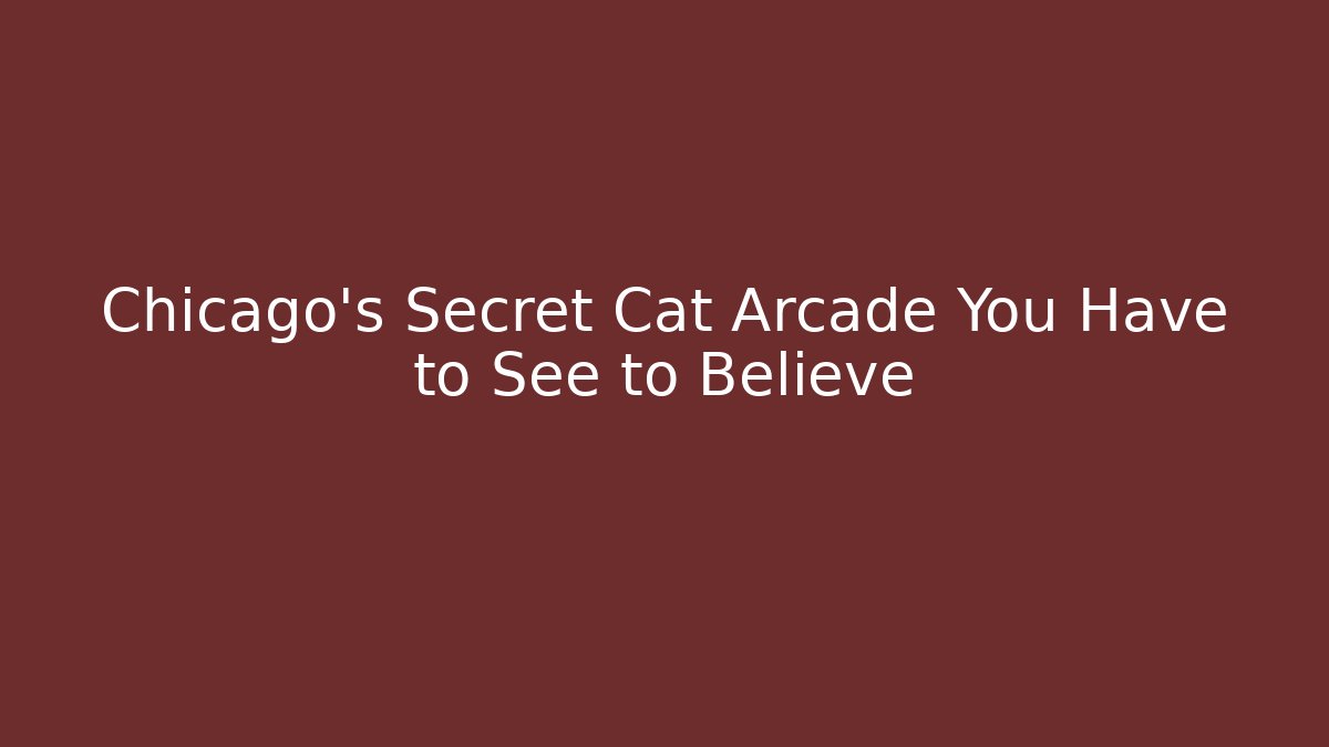 Chicago's Secret Cat Arcade You Have to See to Believe