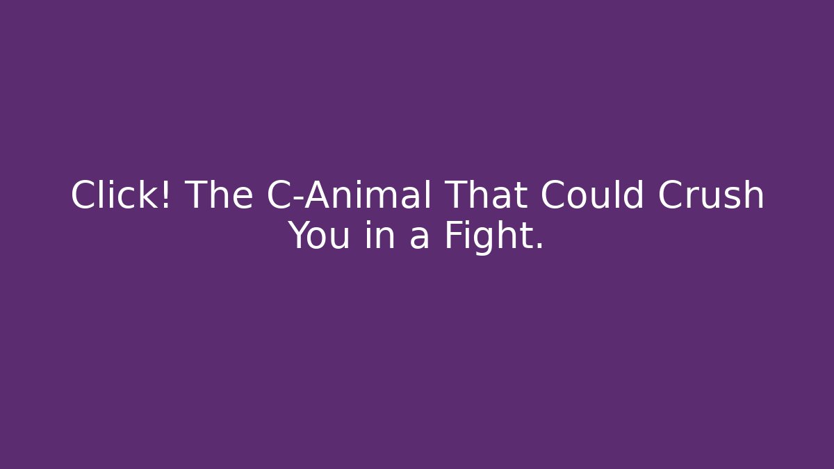 Click! The C-Animal That Could Crush You in a Fight.