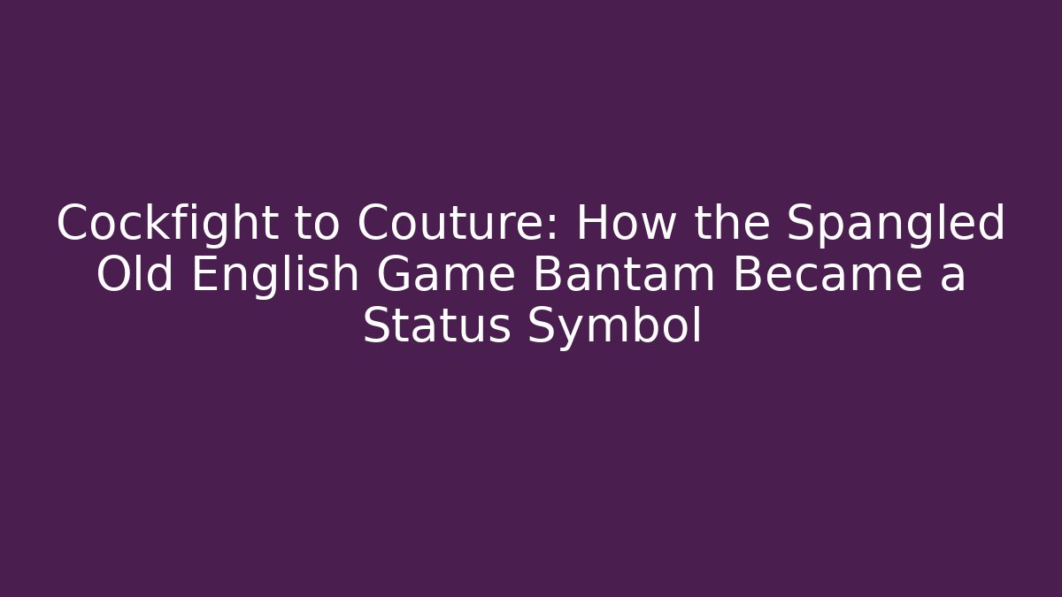 Cockfight to Couture: How the Spangled Old English Game Bantam Became a Status Symbol