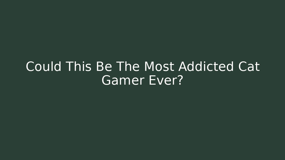 Could This Be The Most Addicted Cat Gamer Ever?
