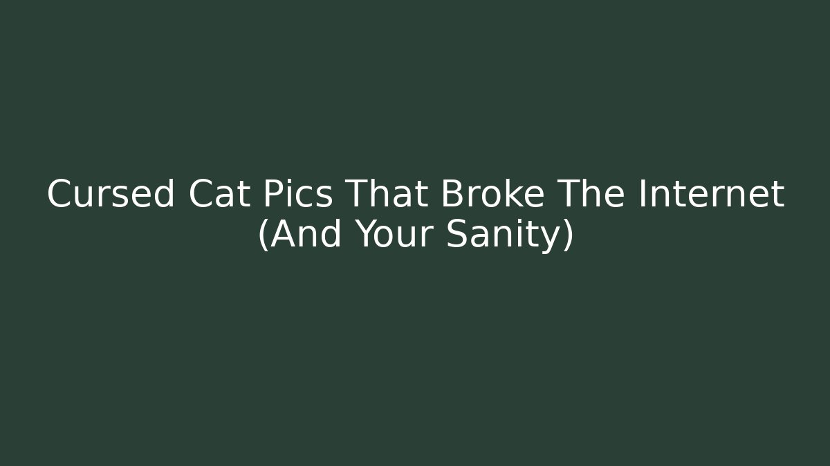 Cursed Cat Pics That Broke The Internet (And Your Sanity)