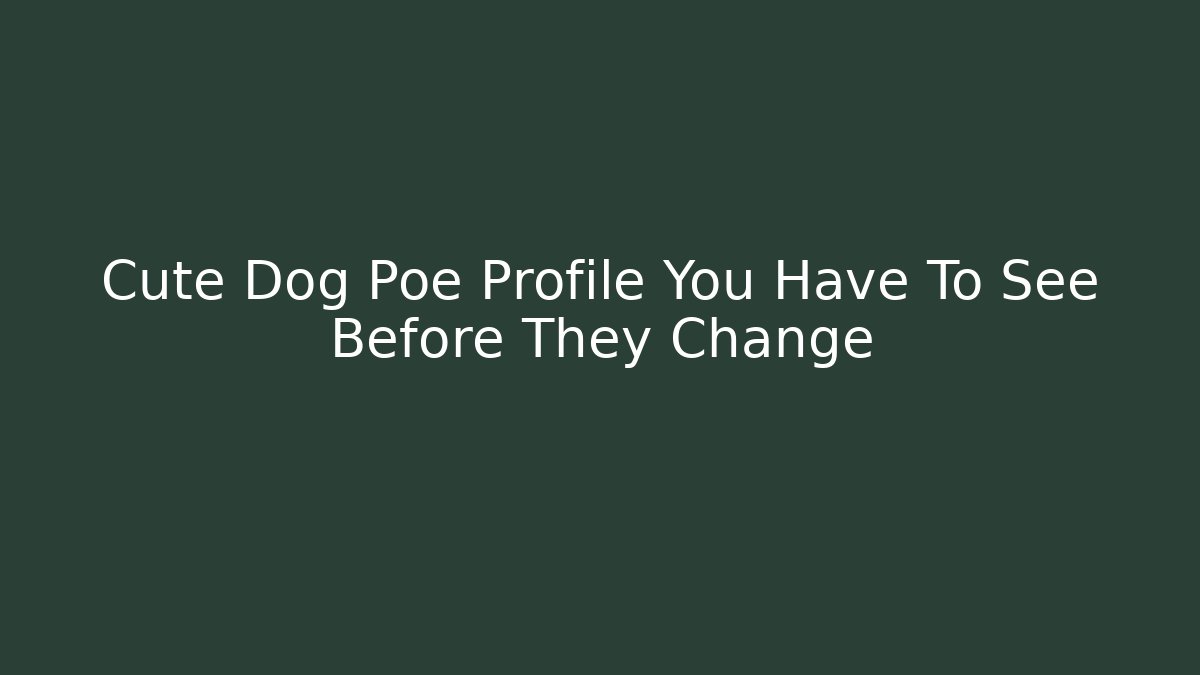 Cute Dog Poe Profile You Have To See Before They Change