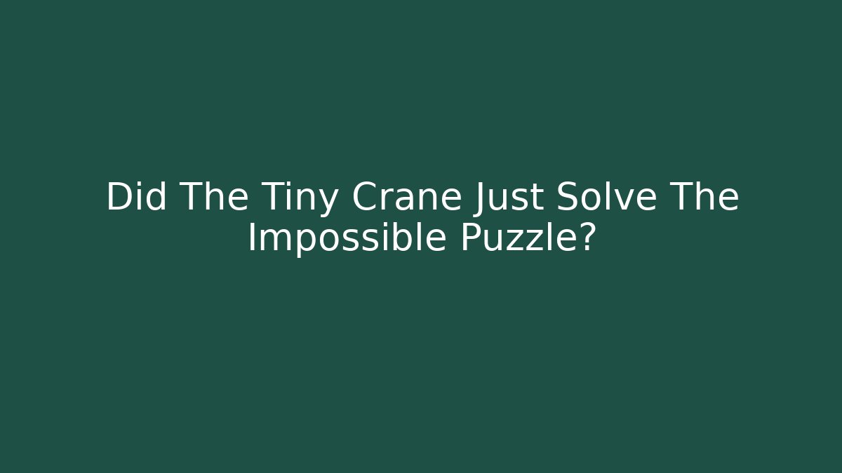 Did The Tiny Crane Just Solve The Impossible Puzzle?