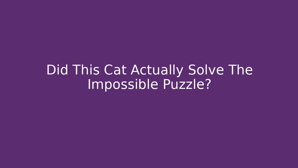 Did This Cat Actually Solve The Impossible Puzzle?