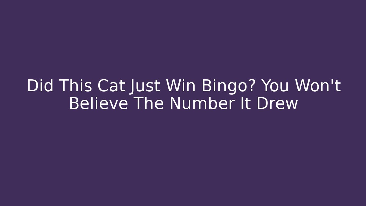 Did This Cat Just Win Bingo? You Won't Believe The Number It Drew