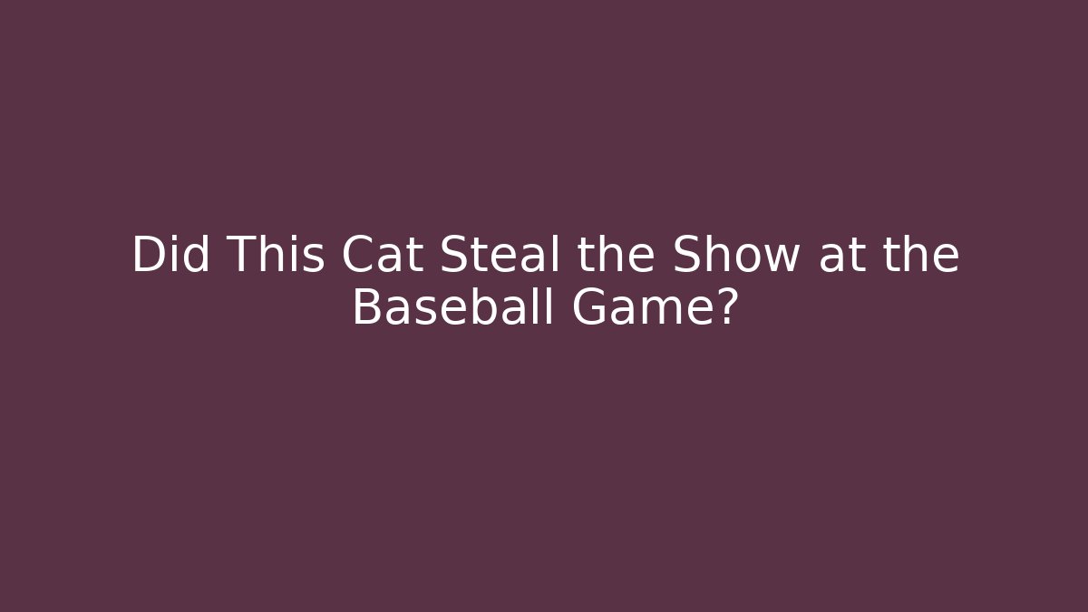 Did This Cat Steal the Show at the Baseball Game?