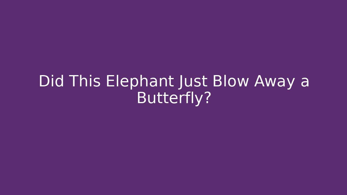 Did This Elephant Just Blow Away a Butterfly?