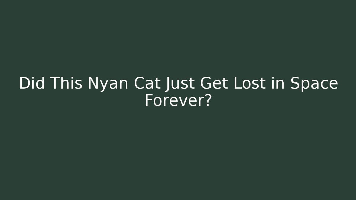 Did This Nyan Cat Just Get Lost in Space Forever?