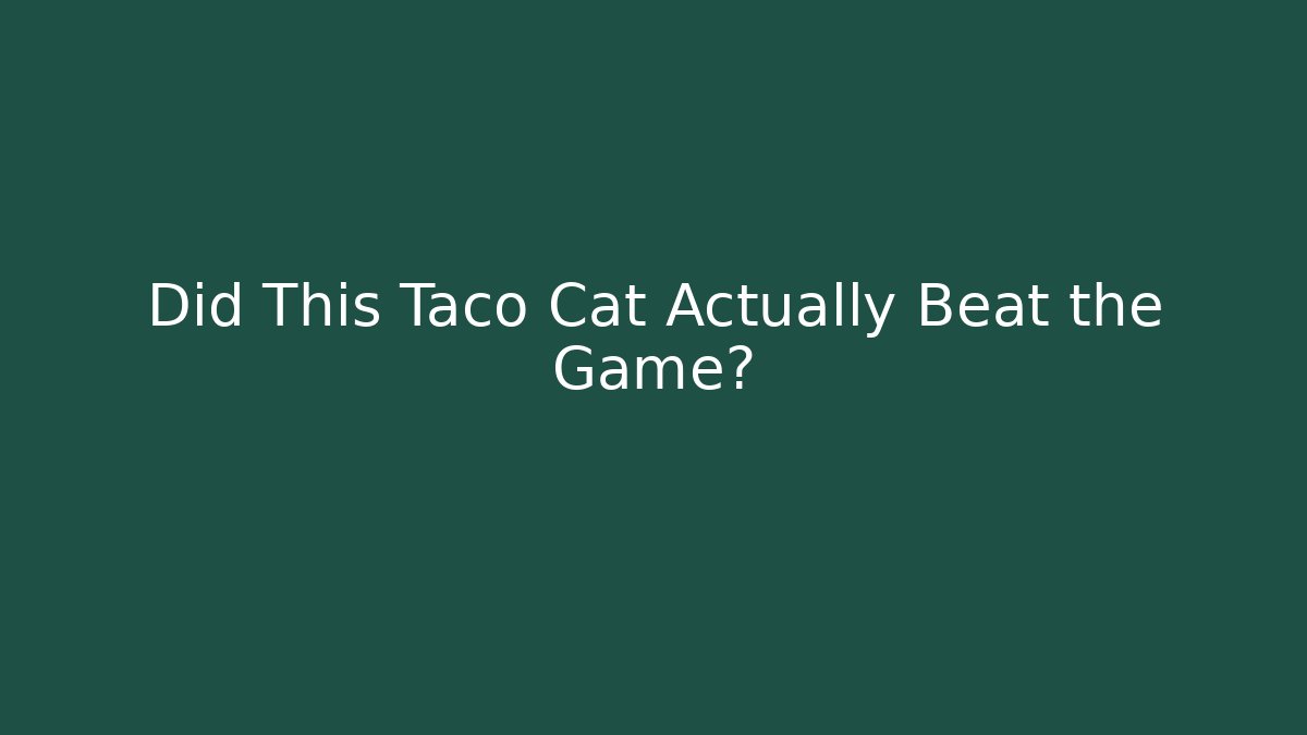 Did This Taco Cat Actually Beat the Game? - Critter Realm