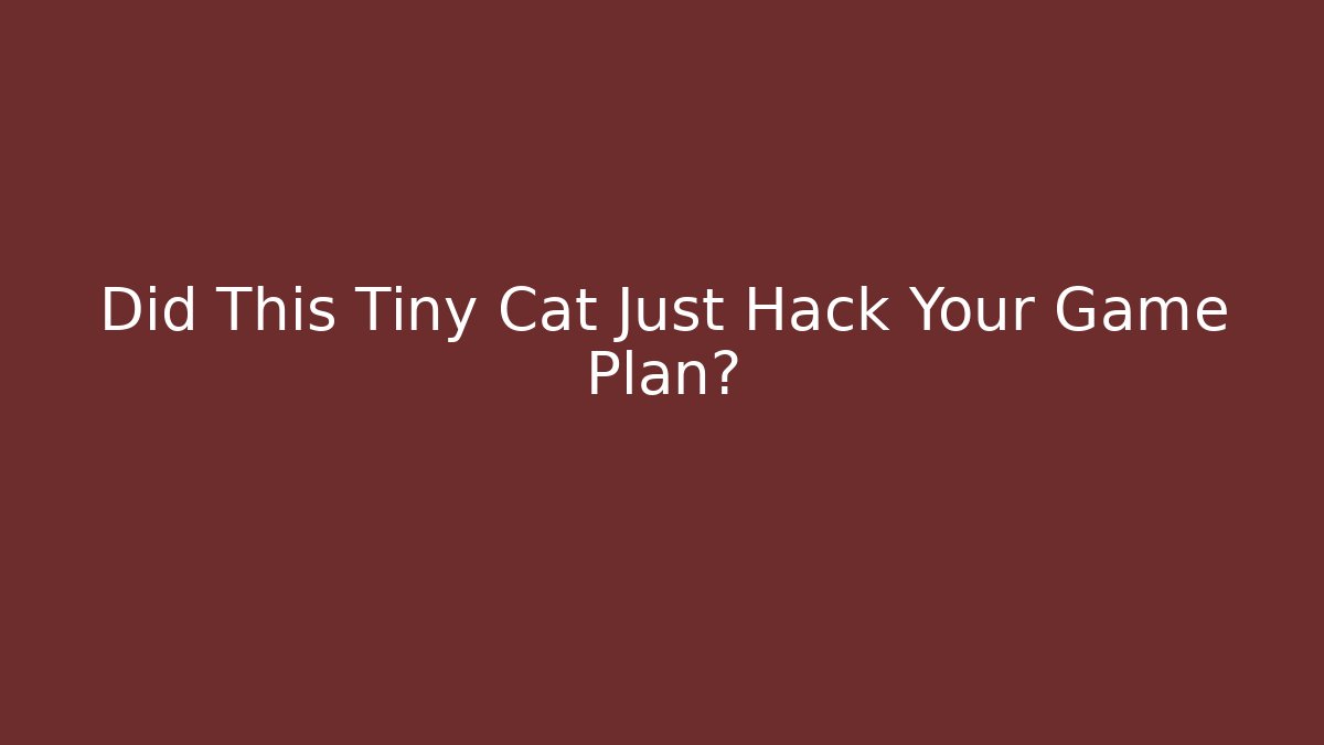 Did This Tiny Cat Just Hack Your Game Plan?