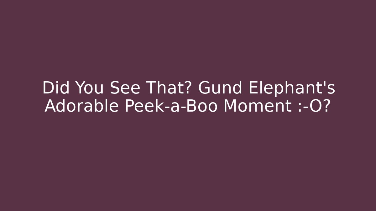 Did You See That? Gund Elephant’s Adorable Peek-a-Boo Moment 😱💥