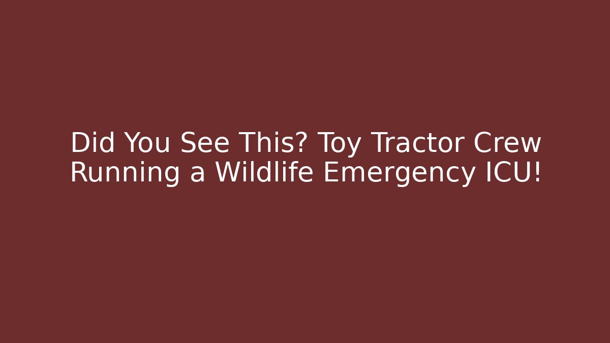 Did You See This? Toy Tractor Crew Running a Wildlife Emergency ICU!