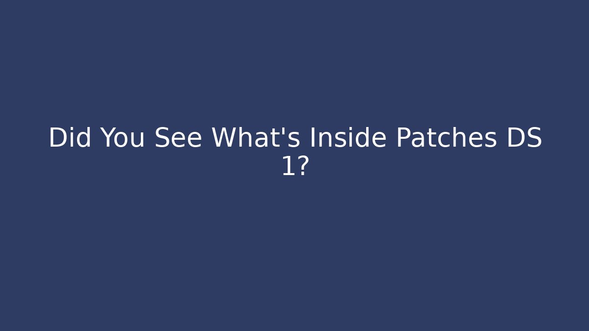 Did You See What's Inside Patches DS 1?