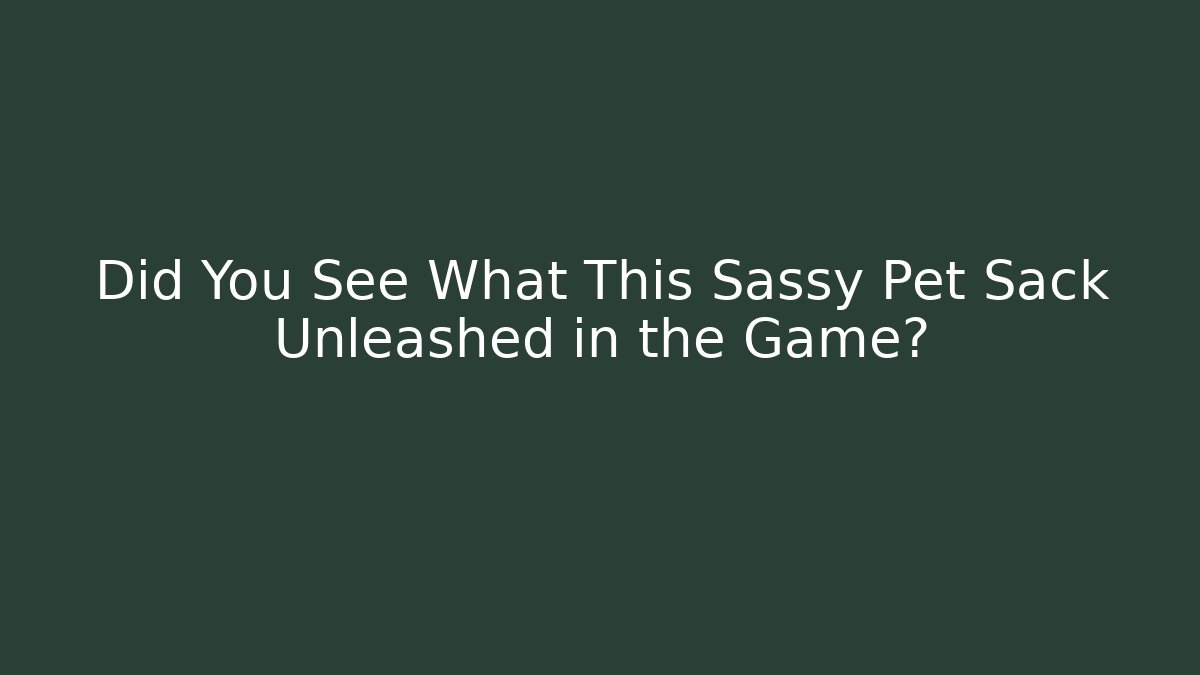 Did You See What This Sassy Pet Sack Unleashed in the Game?