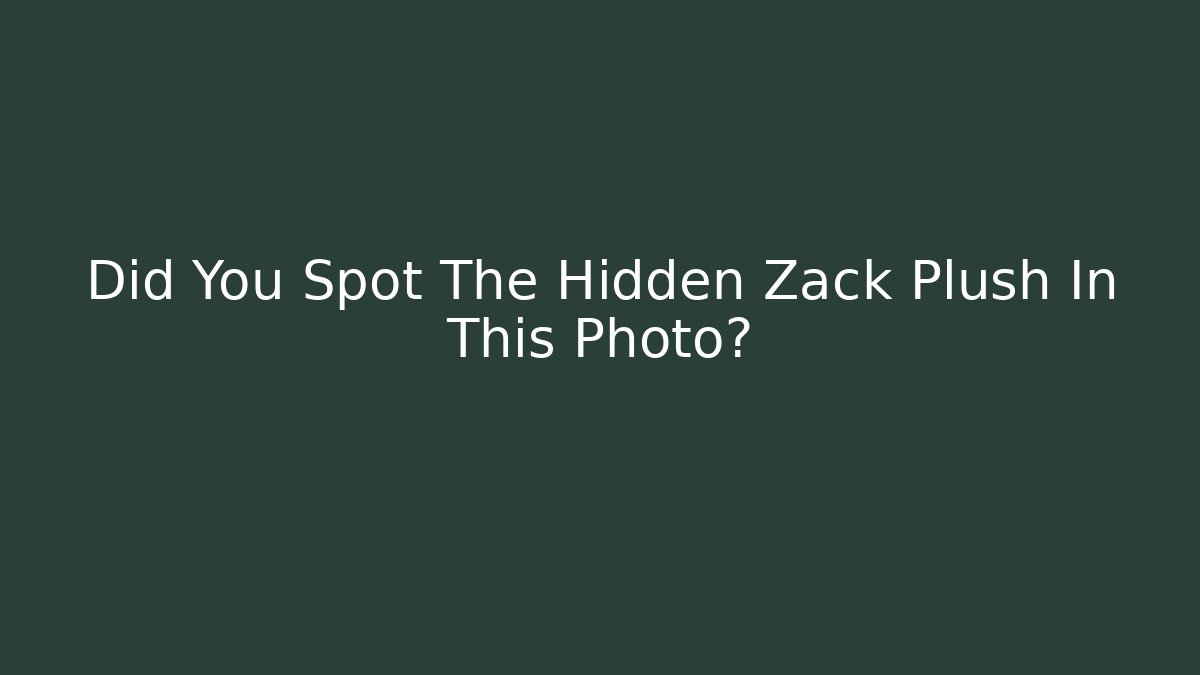 Did You Spot The Hidden Zack Plush In This Photo?