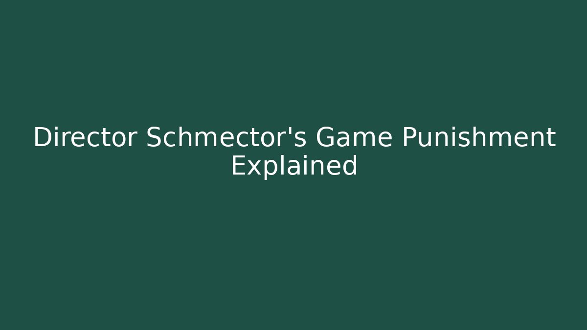 Director Schmector's Game Punishment Explained