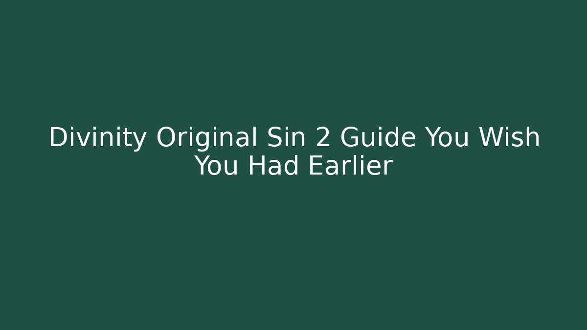 Divinity Original Sin 2 Guide You Wish You Had Earlier