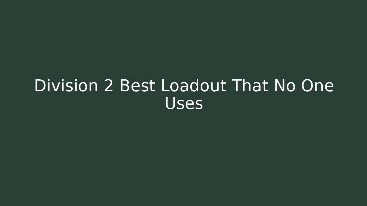 Division 2 Best Loadout That No One Uses