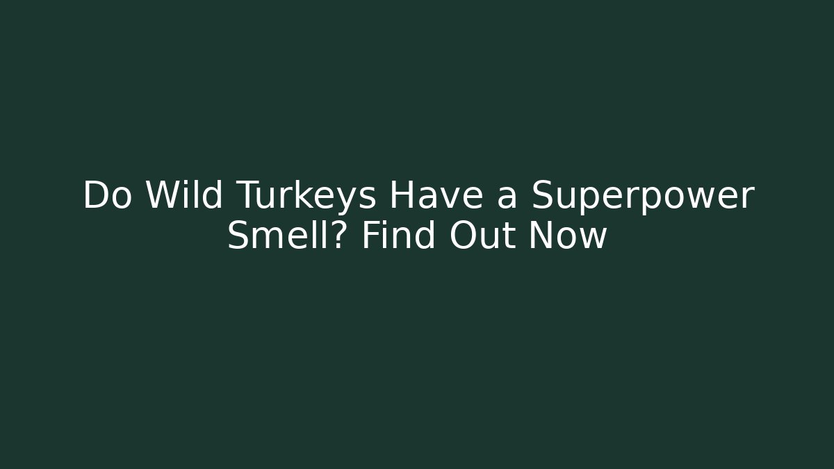 Do Wild Turkeys Have a Superpower Smell? Find Out Now