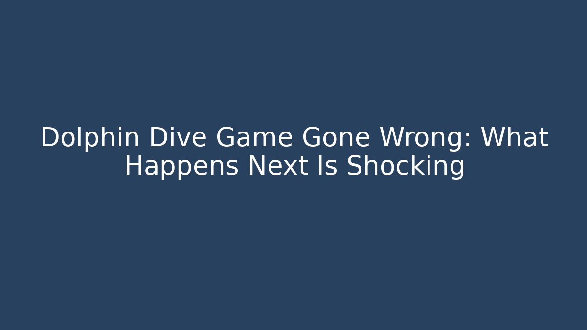 Dolphin Dive Game Gone Wrong: What Happens Next Is Shocking